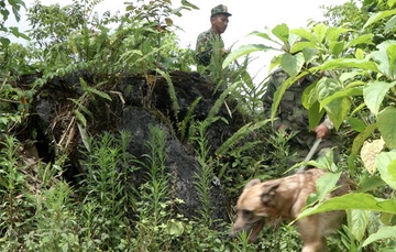 Xuyen dem tim kiem nam thanh nien di lac trong rung hinh anh