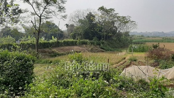 giet nhan tinh roi tu tu anh 1