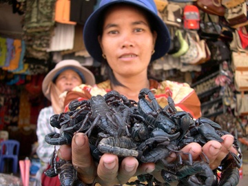 Nhung phu nu kiem tien 'li' nhat mien Tay hinh anh