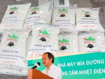 Dau hoi lon quanh vu nhap duong ve Viet Nam cua bau Duc hinh anh