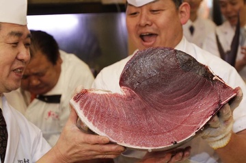 Vi sao ca ngu Viet Nam khong the lam sushi? hinh anh