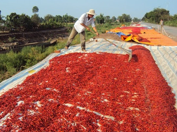Thuong lai Trung Quoc lai lua nguoi trong ot hinh anh