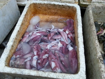 Muc da bong, rau rung gia 10.000 dong/lang o Ha Noi hinh anh