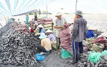 Thuong lai Viet: Dong loa kiem… nan nhan cua gian thuong TQ hinh anh