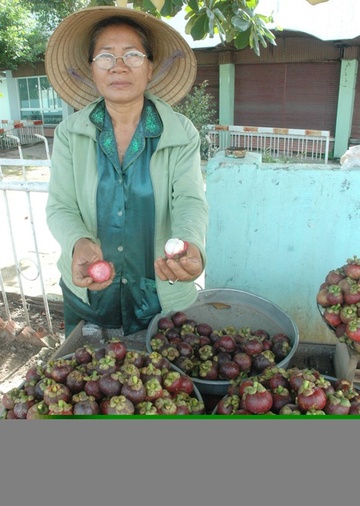 Lai Thieu lieu xieu truoc trai cay ngoai nhap hinh anh
