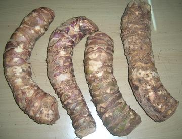 Nhung thao duoc ky quai tren dinh Tay Con Linh hinh anh