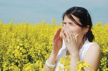 Mua xuan, can than di ung voi phan hoa va con trung hinh anh