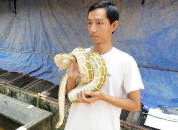 Nuoi tran dot bien lam kieng o mien Tay hinh anh