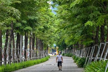 Tong giam doc Cong ty Cong vien cay xanh Ha Noi bi bat hinh anh