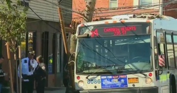 Nguoi dan ong dung sung gia cuop xe buyt o New York hinh anh