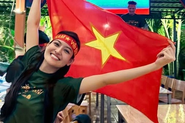 Nghe si Viet vo oa hinh anh