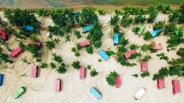 'Ma tran' container giua rung phong ho ven bien hinh anh