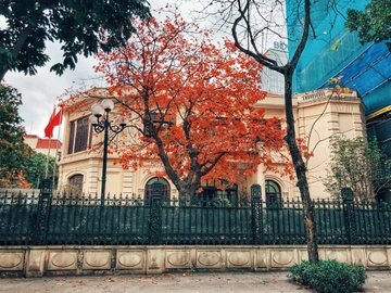 Ha Noi dep ngo ngang, tua troi Au mua thay la hinh anh