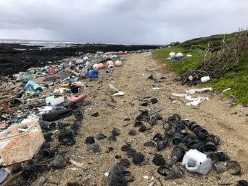 Thien duong bien Hawaii ngap rac, nha cao tang moc len nhu nam hinh anh