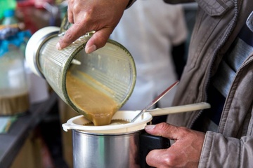 Sinh to ech la dac san cua dat nuoc nao? hinh anh