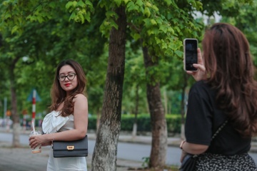 Hang cay ban dia thuong bi nham la phong la do hinh anh