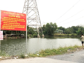 TP.HCM: Hang loat don to cao lua dao ban dat nen hinh anh