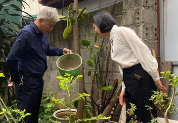Ha Noi canh bao sot xuat huyet co nguy co bung phat thanh dich hinh anh