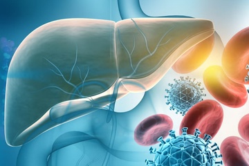 Mot sai lam co the lam viem gan B tro nen nang hon hinh anh