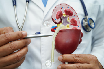 3 loai nuoc uong quen thuoc tot cho than hinh anh