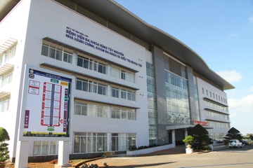 May hong, benh vien van ke khai hang tram ca su dung: Bo Y te noi gi? hinh anh