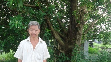 Nghi an 'thieu gia' bi giet roi treo thi the len cay hinh anh