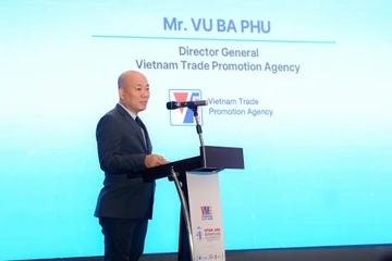 Viet Nam - Nhat Ban tang cuong hop tac phat trien cong nghiep ho tro hinh anh