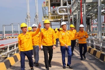 PV GAS chuan bi Dai hoi Dang bo, muc tieu vao Top 100 DN hang dau DNA hinh anh