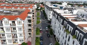 Dua nhau mua lai trai phieu truoc han hinh anh