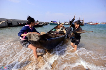 Vu ca chet hang loat anh huong gan 300.000 nguoi hinh anh