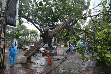 3 tinh mien Bac mat dien hoan toan sau bao Mirinae hinh anh