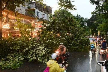 Vi sao bao chua vao, Ha Noi va loat tinh mien Bac da mua dong manh? hinh anh
