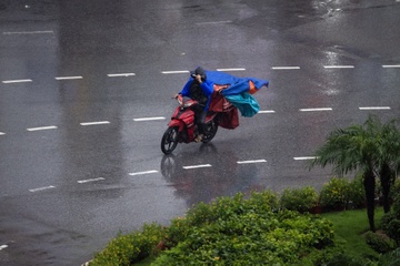 Bo Cong Thuong yeu cau xu ly dau co hang hoa truoc bao Wipha hinh anh