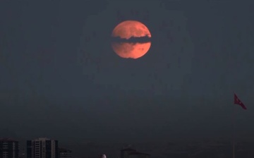 Ca the gioi don nguyet thuc toan phan, trang mau hiem hoi hinh anh