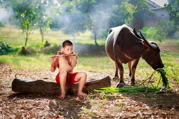 Bo anh dong que Bac Bo khien ai cung phai nho nha hinh anh
