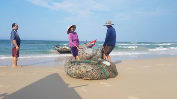 Bo Y te khang dinh thuy hai san da an toan sau su co Formosa hinh anh