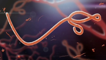 Những virus nguy hiểm nhất từng khiến thế giới chao đảo