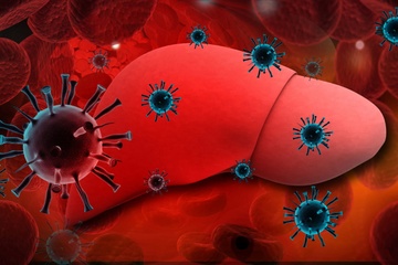 Viem gan virus la benh gi? hinh anh