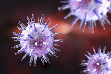 Loai virus lam tang 5 lan nguy co ung thu, ai cung tung nhiem hinh anh