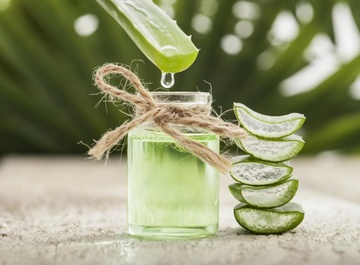 Dùng nha đam theo 5 cách này, tóc bớt rụng thấy rõ