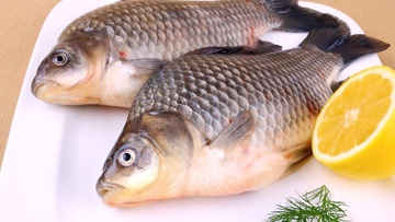 Hai loai ca vua ngon vua re, nen co trong bua an hinh anh