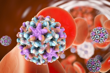 Virus 'sát thủ thầm lặng' gây ung thư gan