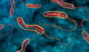 Ta la benh gi? hinh anh