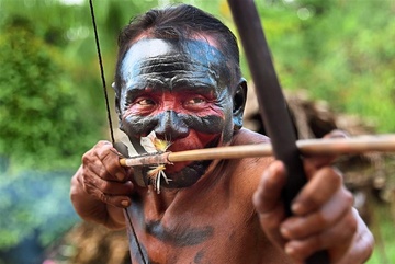 Rung Amazon bi tan pha de nuoi song dat nuoc cach Brazil 17.000 km hinh anh