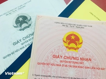 Thue nguoi danh giay dong gia bo vo de lua tien ty hinh anh