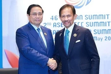 Quoc vuong va Hoang hau Brunei se tham Viet Nam trong nam nay hinh anh