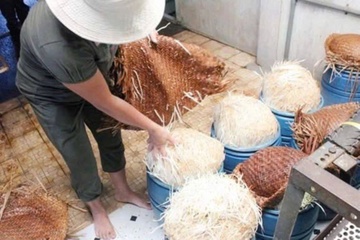 Nhung vu tam hoa chat doc hai vao nguyen lieu mon an quen thuoc hinh anh