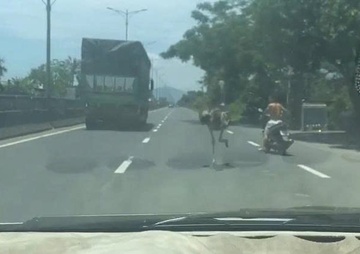 Da dieu chay tren quoc lo 1A hinh anh