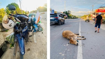 Va cham voi oto va bo tren Quoc lo 9, 3 phu nu thuong vong hinh anh