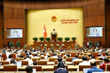 Quoc hoi bieu quyet thong qua viec sap xep don vi hanh chinh cap tinh hinh anh